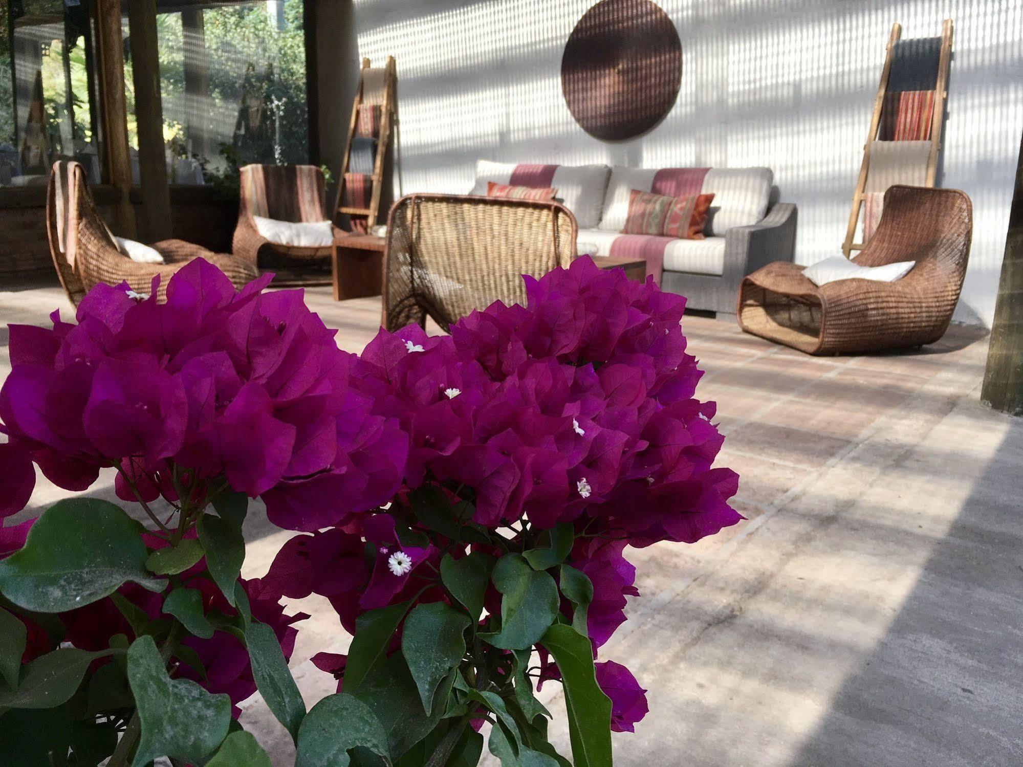 Hotel Casa De Campo Santa Cruz Dış mekan fotoğraf